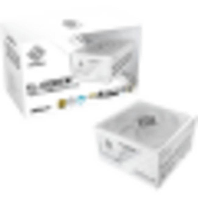 ASRock Захранващ блок Steel Legend White, мощност 1000W, сертификат 80 Plus Gold, бял цвят