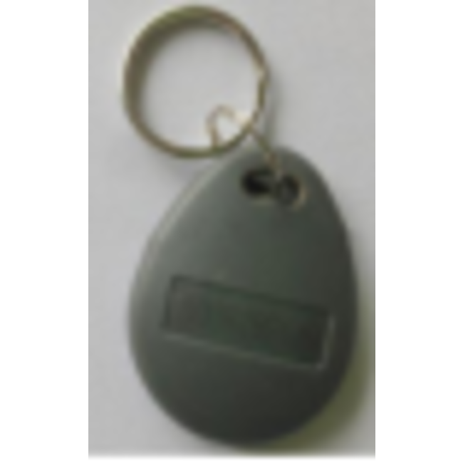 Без марка RFID таг ключодържател KR003 - 125 kHz, за контрол на достъп, компактен, безконтактен