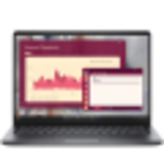 Dell лаптоп Pro 14 (PC14250) - 16GB DDR5 оперативна памет, 512GB M.2 SSD диск, Ubuntu Linux